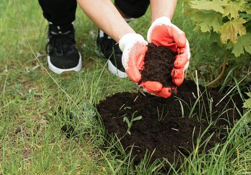 Compost