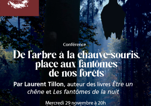 Conférence Laurent Tillon