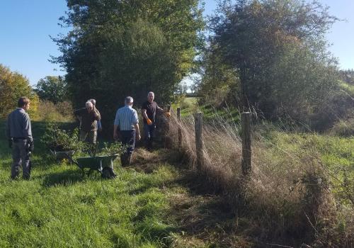 Vava plantation d'une haie