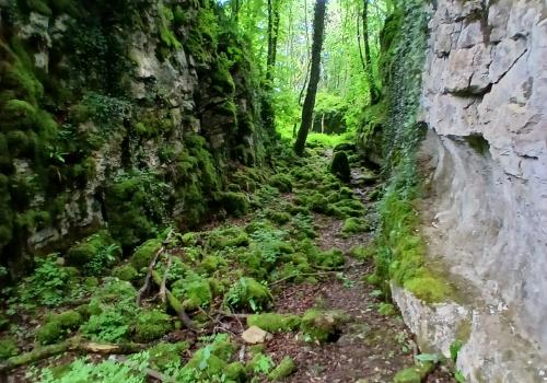 Thomas Volpoet - Vallon de Senance