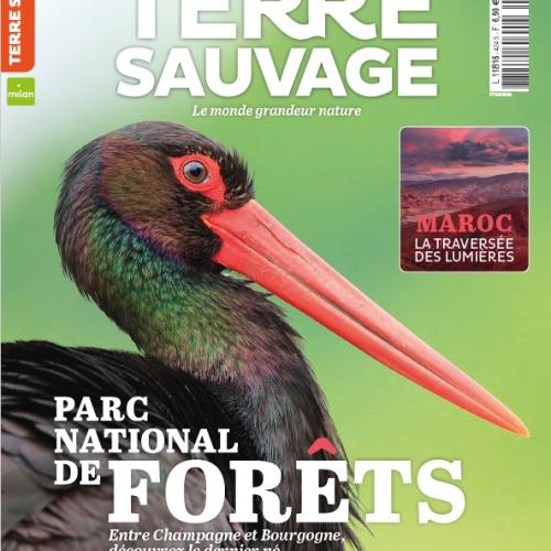 Terre sauvage