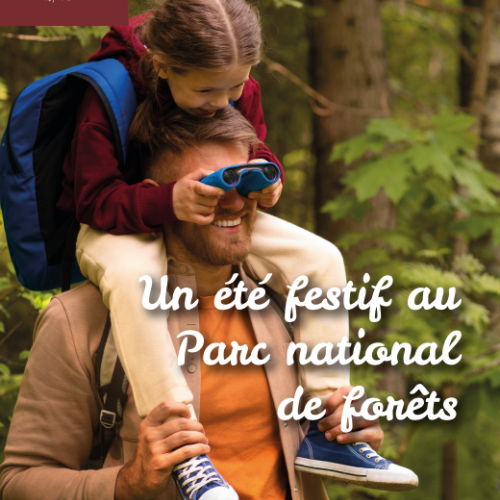 Photo de couverture programme animations été