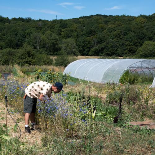Photo : Céline Lecomte / Aujon nos légumes (Saint-Loup-sur-Aujon)