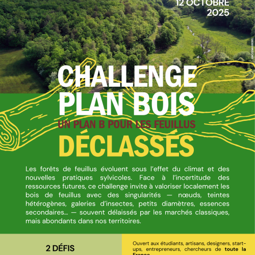 challenge plan bois