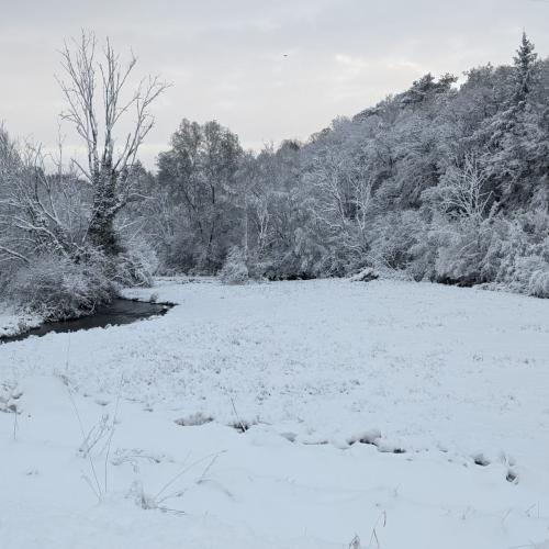 Aujon © Aurélie Wahl