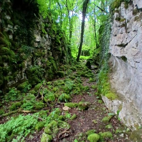 Thomas Volpoet - Vallon de Senance