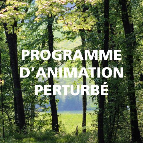 Programme d'animation perturbé