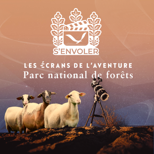 s'envoler-carré