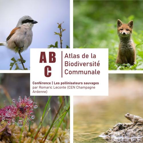 ABC Vals-des-Tilles | Conférence sur les pollinisateurs sauvages