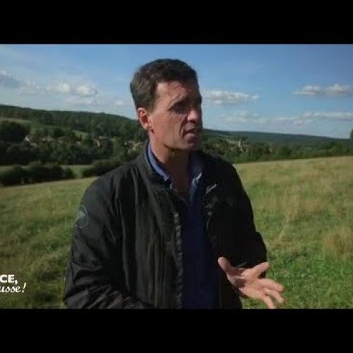 Découverte : le futur Parc national des Forêts de Champagne et Bourgogne