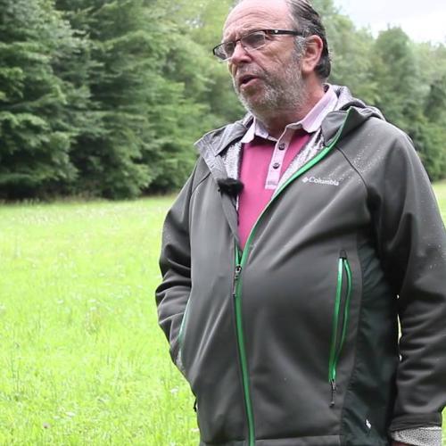 La chasse dans le projet de Parc national des forêts de Champagne et Bourgogne