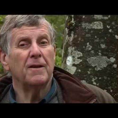 Enquêtes de Région - France 3