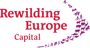 rewilding europe