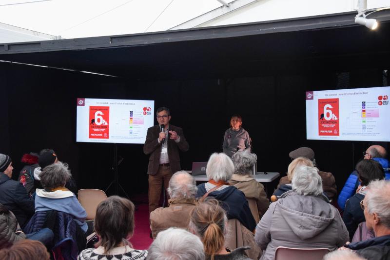 © Tristan Hambacher