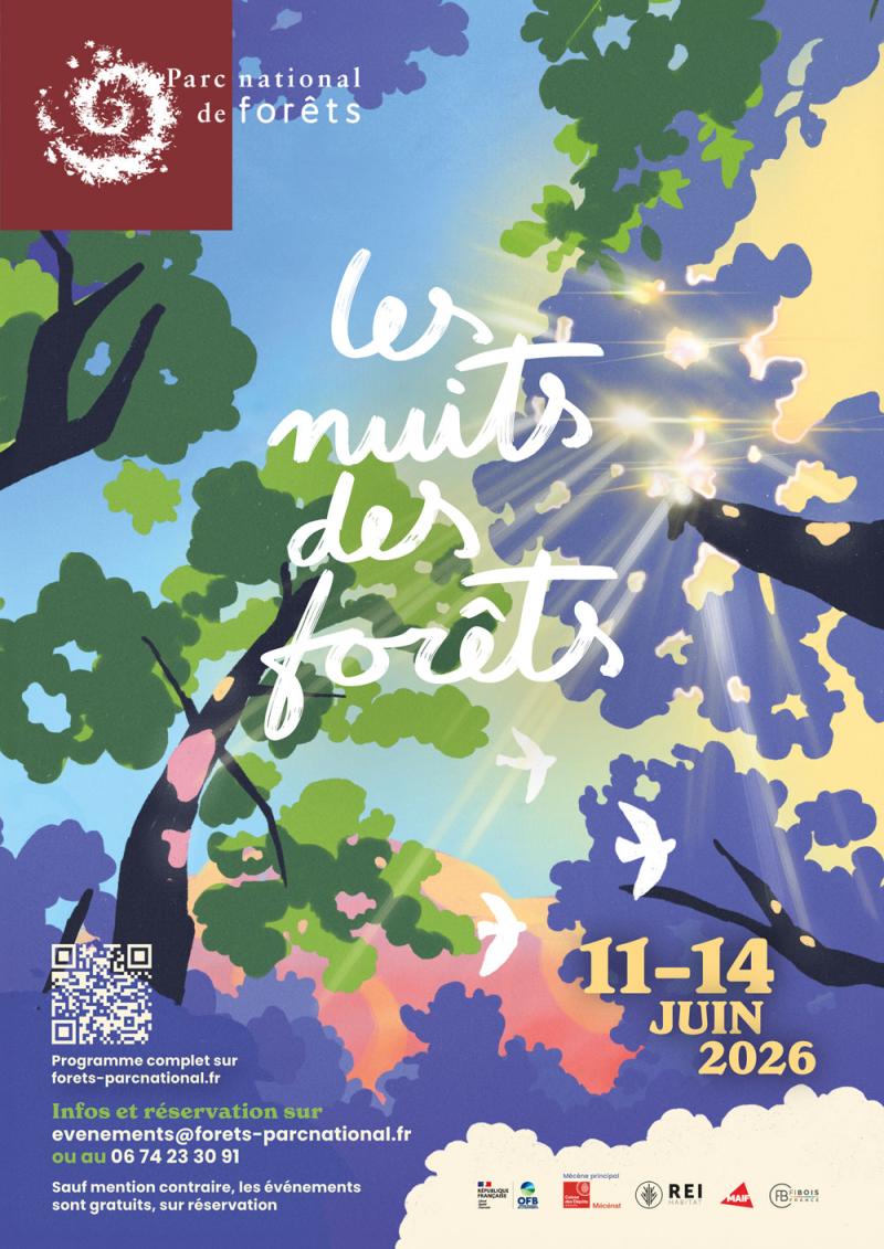 Les nuits des for&ecirc;ts