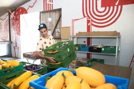Légumes