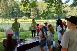 Atelier oiseaux