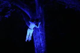 Arbre à facettes - Du O des Branches