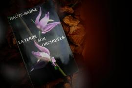 Livre "Haute-Marne : La terre aux orchidées"