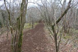 passage à faune