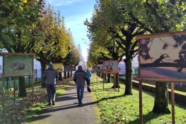 Exposition Montier en Der 2024
