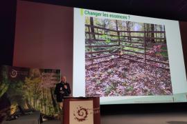 •	Sylvain Gaudin, ingénieur forestier sur les thématiques Développement, expérimentation, changement climatique, photothèque, CRPF Grand Est