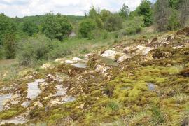Marais de Saint-German-le-Rocheux