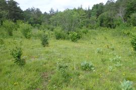 Vanvey ©Grégory Aubert