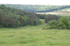 ©Christophe Gallemant