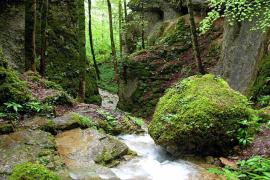 Jean-Francois Feutriez