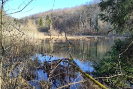 Marais des creux d'Aujon