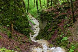 aprey-gorges_vingeanne17b_c_jean-francois_feutriez.jpg