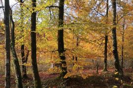 img_20191107_145347.jpg