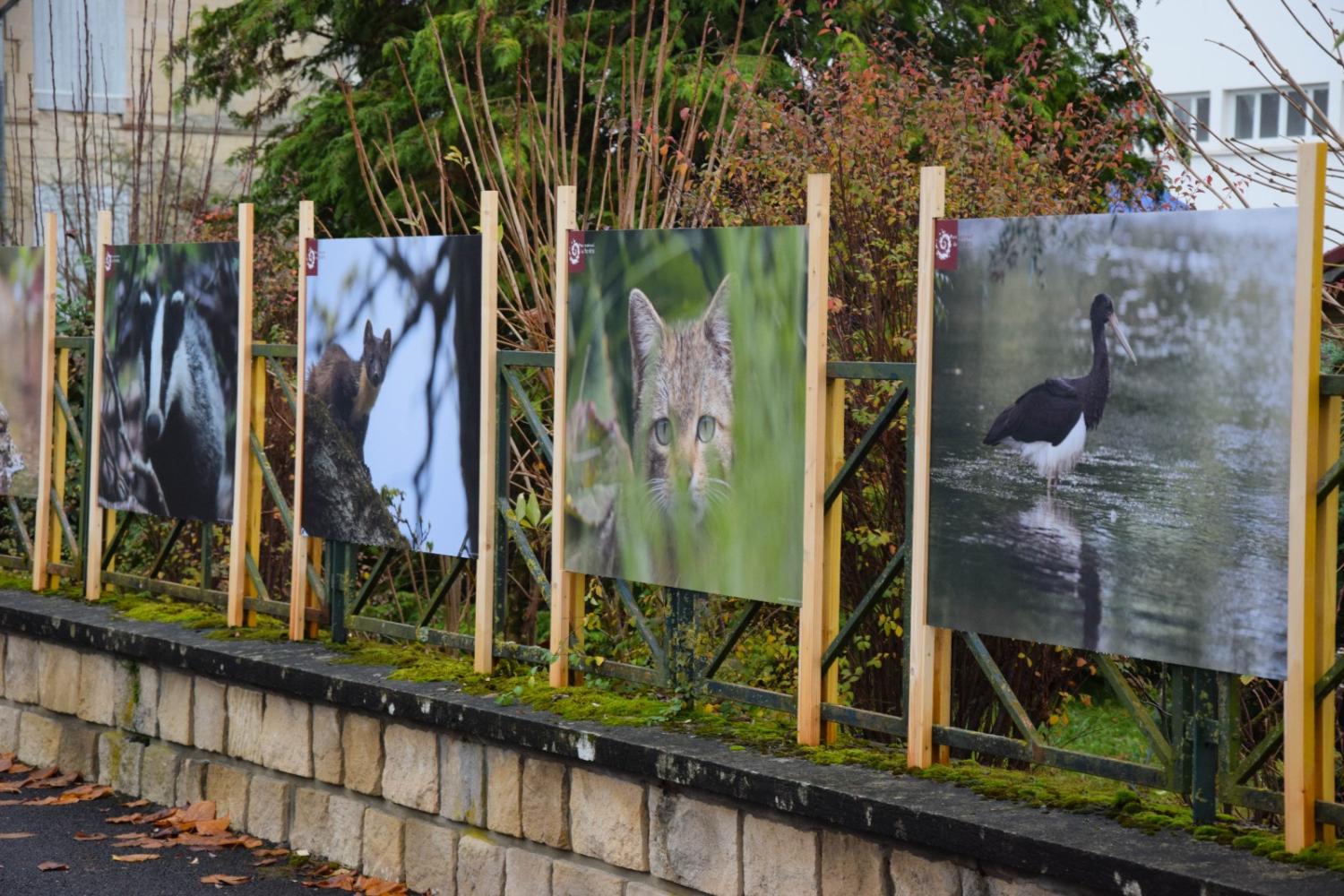 © Tristan Hambacher