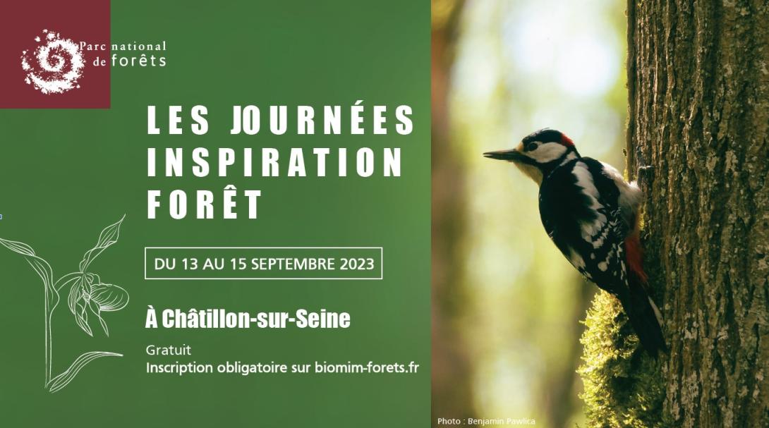 journées inspiration forêt