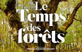 Le temps des forêts