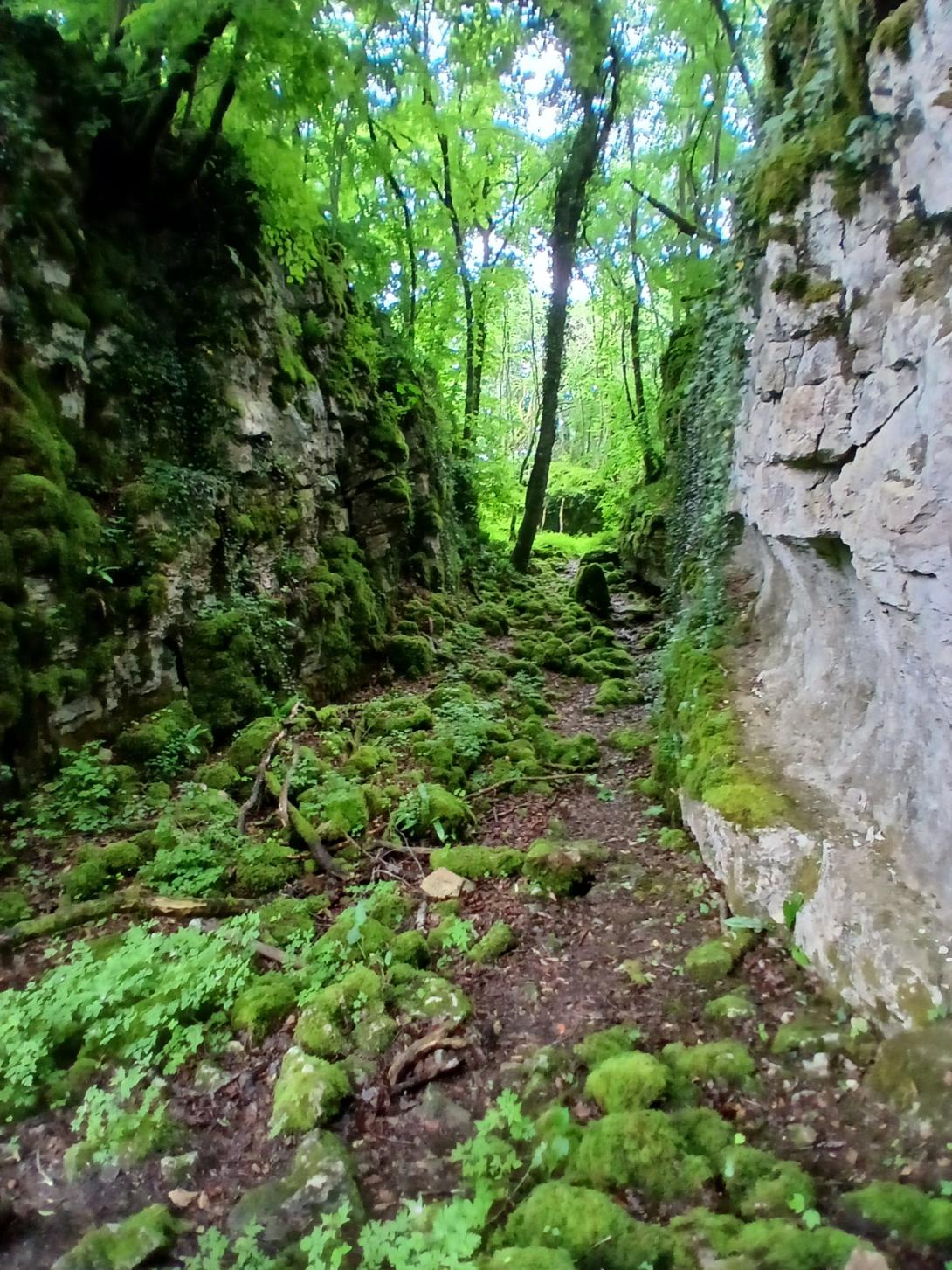 Thomas Volpoet - Vallon de Senance