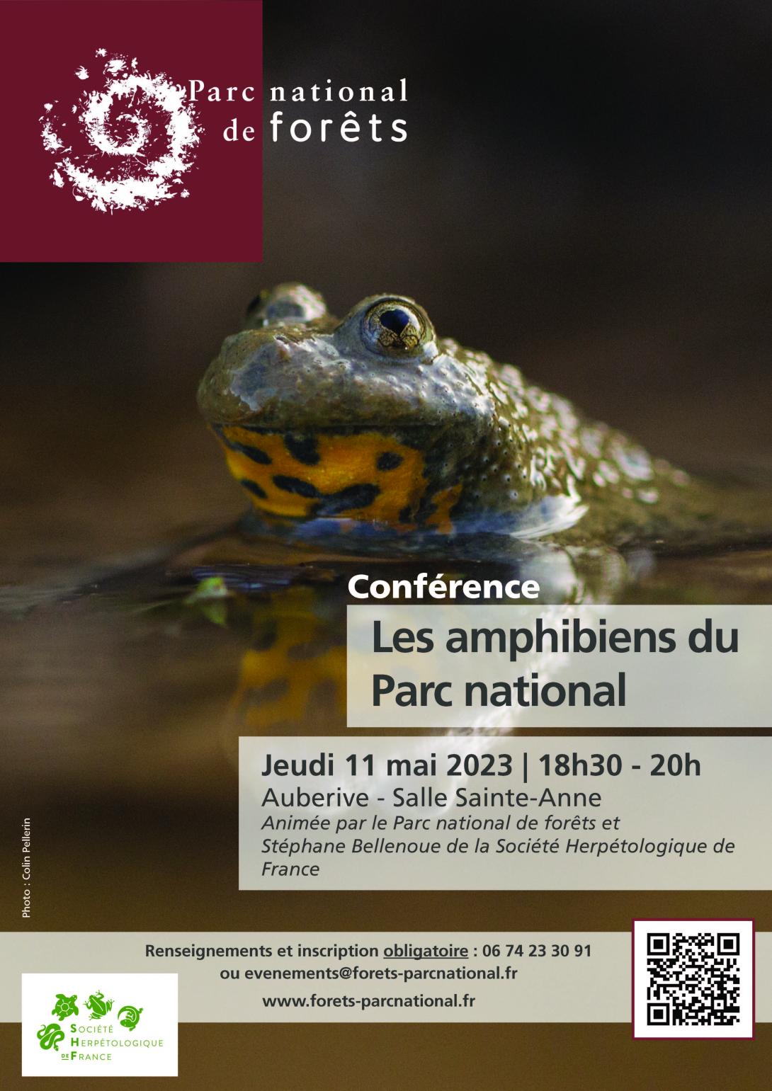 affiches_conf_mai_amphibiens.jpg