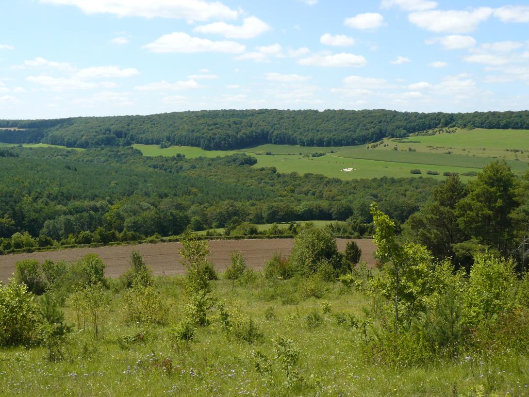 vue_depuis_butte_taloisonmdelcamp.jpg
